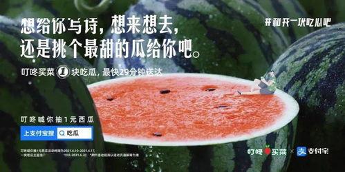 姐妹吃瓜文案,一起吃瓜！揭秘娱乐圈那些不为人知的幕后故事