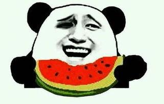 落落熊的吃瓜视频,趣味横生的娱乐圈幕后故事