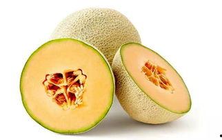 南广吃瓜,揭秘网络热点的背后故事