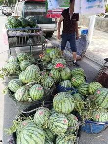 交城最近吃瓜事件,揭秘背后真相与网络舆论风暴