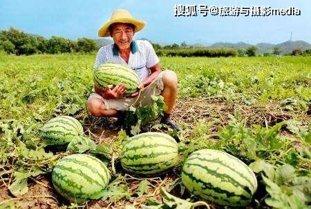 路边骂人吃瓜,吃瓜群众现场直播