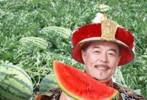 乾隆吃瓜杀瓜农,瓜农命丧宫廷瓜园
