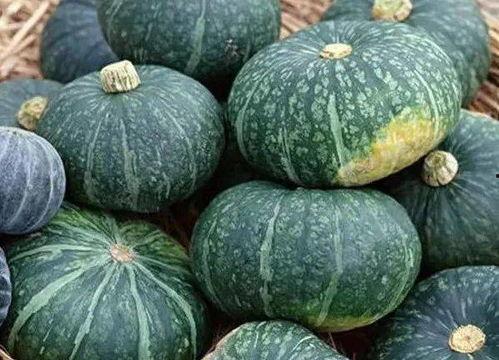 如何吃板栗瓜,解锁健康吃法，尽享秋日甘甜