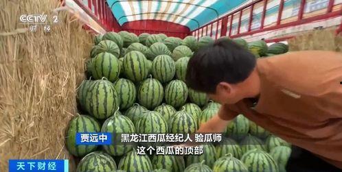 乔波吃瓜,揭秘娱乐圈幕后风云