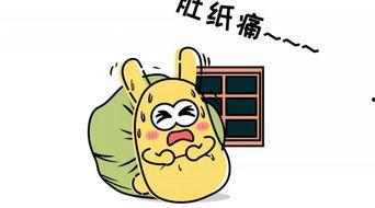 带你吃瓜哲学,带你领略“吃瓜哲学生”的独特魅力