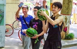 吃瓜郑州学校,揭秘“吃瓜”背后的校园生活点滴